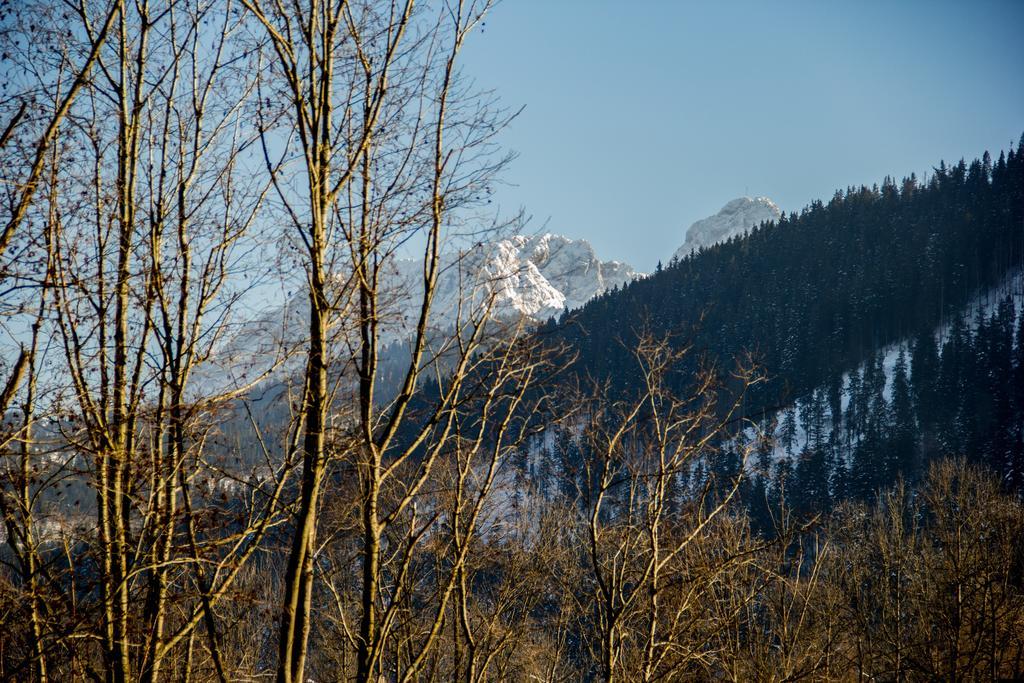 Dolina Resort Zakopane Koscielisko Phòng bức ảnh
